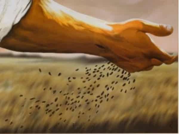 sementes a beira do caminho mao de jesus cristo lei das medias parabola do semeador