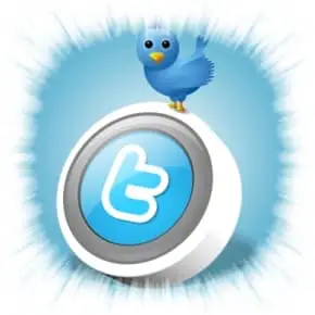 10 Conceitos do Twitter Que Todo Tuiteiro Deveria Conhecer