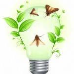 lampada verde ecologia maripos inbound marketing atracao