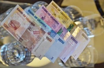 Perguntando P/ MILIONÁRIOS de PORTUGAL Como Ficar Rico