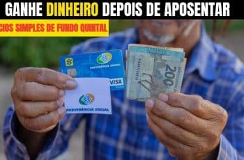 7 NEGÓCIOS PARA APOSENTADOS ABRIREM NO QUINTAL DE CASA