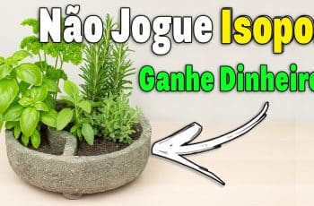 Mini Jardim de Temperos e Flores, Aprenda a Fazer e Ganhe Dinheiro!