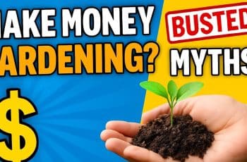 How To Make Money From Home?