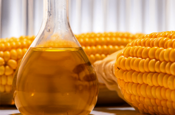 Com expansão das biorrefinarias no Brasil, produção de óleo de milho deve...