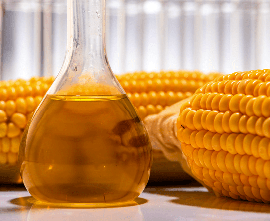 Com expansão das biorrefinarias no Brasil, produção de óleo de milho deve...
