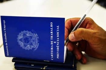 Pernambuco Luta Contra o Desemprego com Foco em Educação e Novos Setores Econômicos