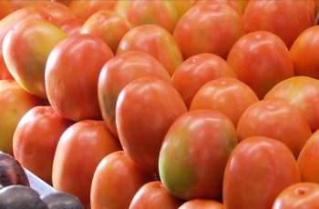 Preços dos alimentos caíram e IPCA recuou 0,11% em agosto