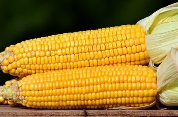 Na B3, os contratos apresentaram variações divergentes