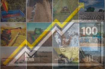 Crescimento do PIB do agro é destacado, mas gargalos estruturais ameaçam competitividade