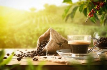 Preços do café registram forte volatilidade nas bolsas internacionais