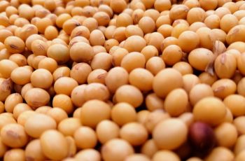Brasil pode produzir 180 mi t de soja em 2025/26, diz 3Tentos