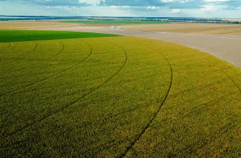 bahia agronegocio