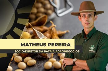 Após a volta da retenciones na Argentina, mercado da soja trabalha com...
