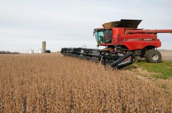 PIB de Minas Gerais cresce 1,2% no 2º trimestre de 2025, puxado pela agropecuária