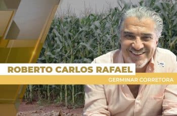 Mercado de milho segue lateralizado no Brasil com produtor administrando as vendas