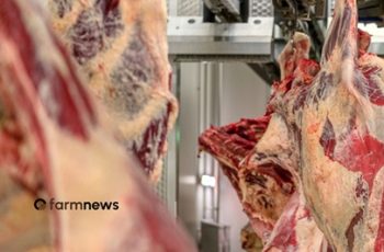 ágio da carne bovina2809