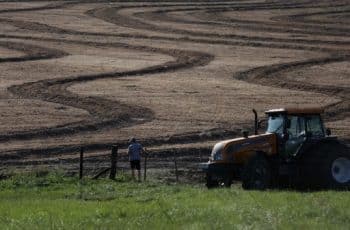 Novo boletim da Emater indica atraso no plantio da soja e perdas no trigo