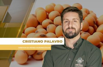 Mercado brasileiro de soja tem semana bastante difícil, mas com chances de...
