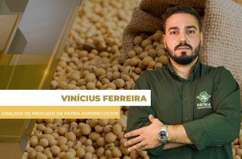 Soja fecha em alta em Chicago com USDA podendo reduzir safra de soja dos EUA