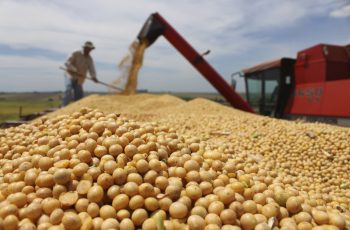 Agência Minas Gerais | PIB de Minas Gerais cresce 1,2% e soma R$ 305,4 bilhões no segundo trimestre de 2025