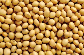 Preços da soja em Chicago alcançam maior nível em 15 meses 7 China compra cargas de soja dos EUA antes da reunião Trump-Xi, dizem fontes