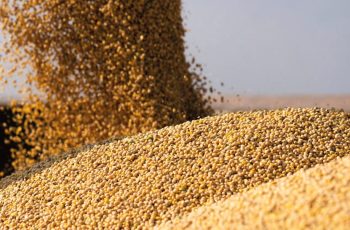 Governo planeja derrocar trecho do Tocantins para facilitar transporte de grãos com avanço da soja 9 Governo quer derrocar trecho do Tocantins para transportar grãos em meio ao avanço da soja