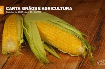 Carta Grãos e Agricultura - Milho a “milhão” na oferta, no preço, nem tanto - SBA1