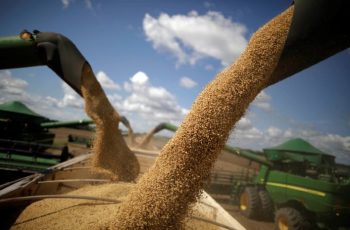 Soja avança em Chicago, com contrato janeiro/26 a US$ 10,54 por bushel 10 Soja sobe em Chicago com apoio da demanda por esmagamento e expectativas sobre relações EUA-China