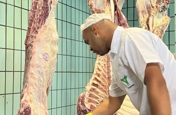 Preço da arroba do boi gordo mantém estabilidade em Feira de Santana