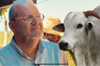 Quem realmente manda no preço da arroba do boi gordo? Pecuarista renomado conta a verdade — CompreRural