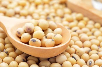 Cotações futuras da soja ampliam os ganhos na sessão desta 5ª feira em Chicago