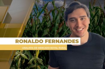 Alta do dólar trouxe força para os preços do milho no Brasil nesta reta...