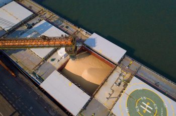 Soja fecha em alta a US$ 10,99 por bushel, com avanço de 0,78% na bolsa de Chicago 6 Soja fecha sessão desta sexta-feira em alta na bolsa de Chicago