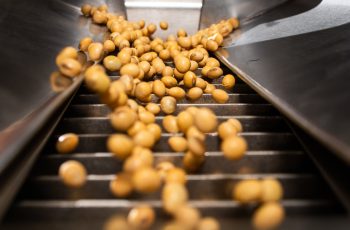 Em meio à incerteza sobre acordo comercial, soja abre a quarta-feira com...