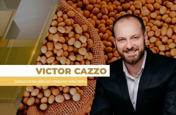 Politizado, mercado da soja fecha com mais de 1% de baixa na Bolsa de...