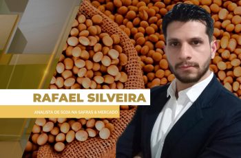 Soja fecha em alta na Bolsa de Chicago nesta 4ª feira e semana tem sido...