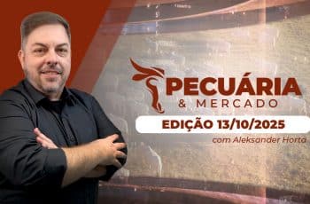 Arroba do boi reage em outubro mas ainda está R$ 20 abaixo das máximas do ano