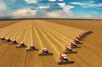 IBGE divulga PIB consolidado de 2023 e números revelam força do agronegócio