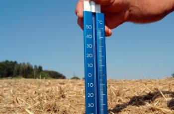 Sucesso no Cumprimento das Metas Climáticas Pode Gerar R$ 6,7 Trilhões Ao PIB do Brasil