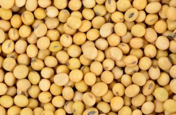 Safra de soja do Brasil 25/26 estimada em recorde de 178 mi t, diz Itaú BBA