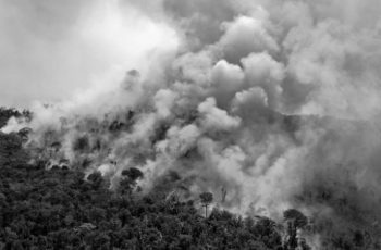 Inação diante das mudanças climáticas custará até 33% do PIB do Brasil e vizinhos amazônicos, aponta pesquisa da ONU