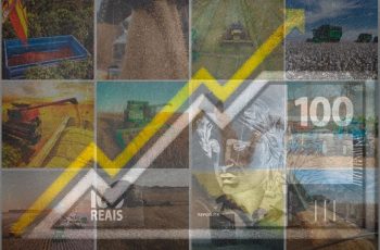 Crescimento de 16,4% no PIB do agronegócio do Tocantins previsto para 2025, segundo Banco do Brasil 1 PIB do agronegócio do Tocantins deve crescer 16,4% em 2025, impulsionado por soja e milho