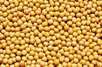 Soja, milho e trigo caem na abertura da bolsa de Chicago