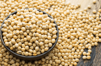 Soja encerra dia sem variação significativa em meio a quedas no milho 9 Soja fecha em alta na bolsa de Chicago, enquanto milho e trigo caem