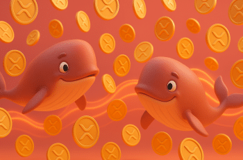 Baleias movimentam US$ 480 milhões em XRP em 48h após queda abaixo de US$ 2