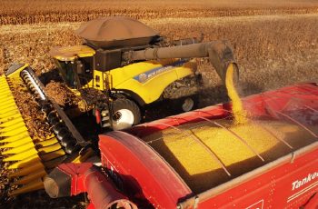 Aumenta preço da soja disponível em Mato Grosso