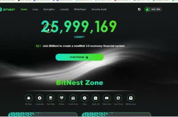 O que é Bitnest DeFi 1 BITNEST DEFI GANHA DE FORMA DESCENTRALIZADA 24% 28 DIAS