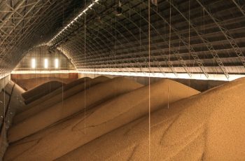 As compras chinesas seguem lentas