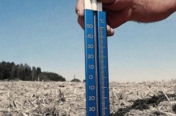 Brasil investe em negócios sustentáveis para valorizar recursos naturais