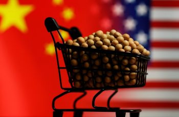 China compra sete barcos de soja nos EUA e preços sobem quase 3% na Bolsa de...